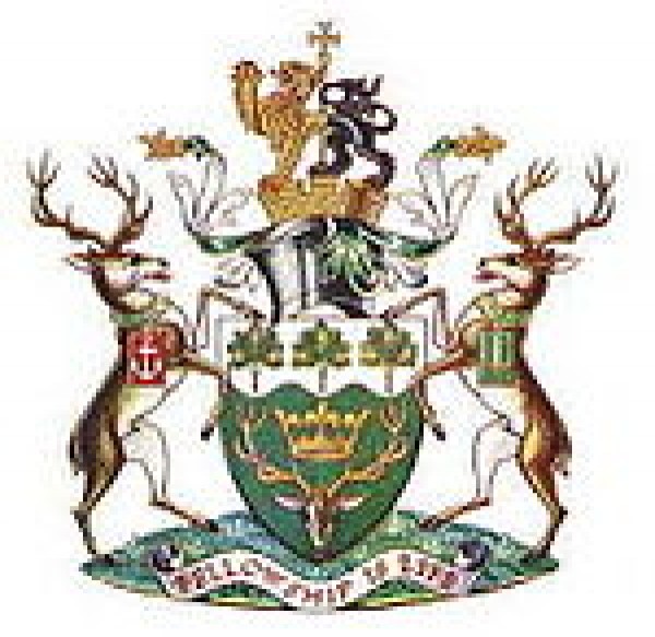 Waltham Forest Council Logo