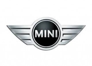 Mini Logo