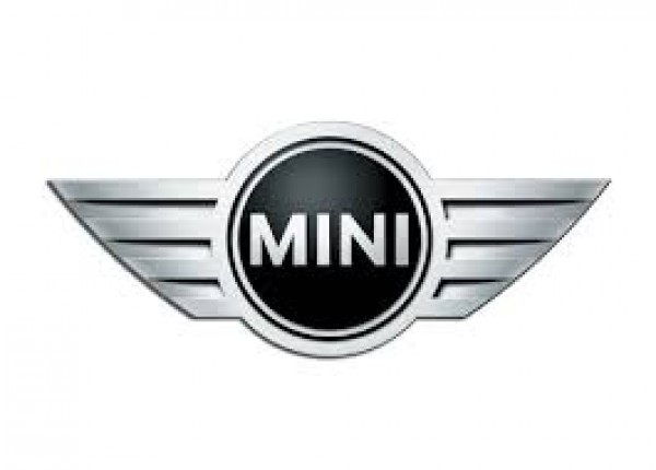 Mini Logo